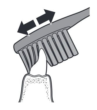brush